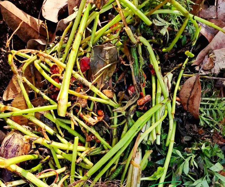 De Groene en Bruine Materialen bij Composteren: De Kunst van Perfecte Verhouding